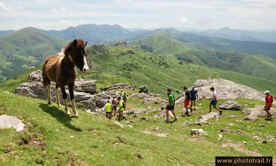 Courses des Crêtes du Pays Basque 2014